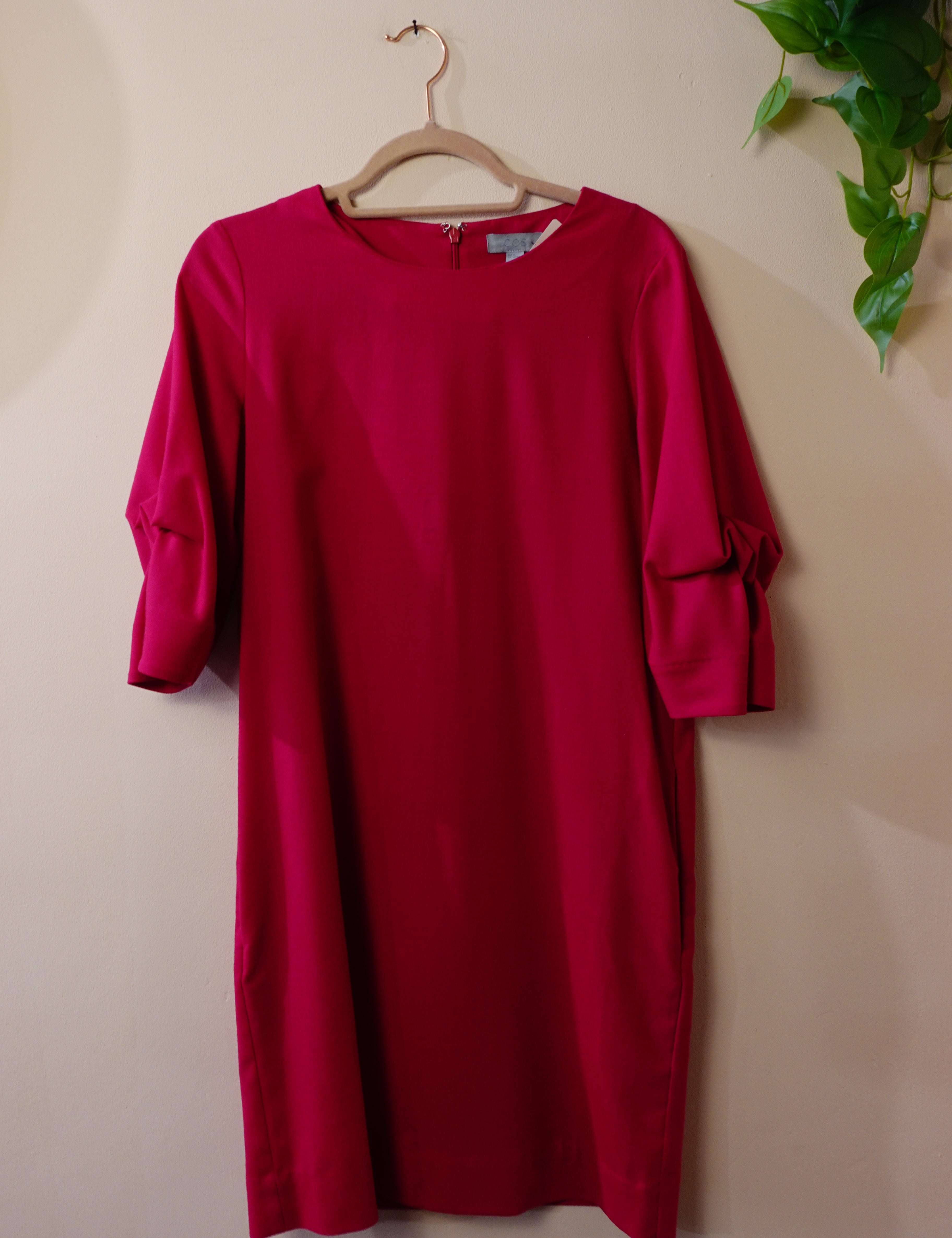 DSC03983.jpg
